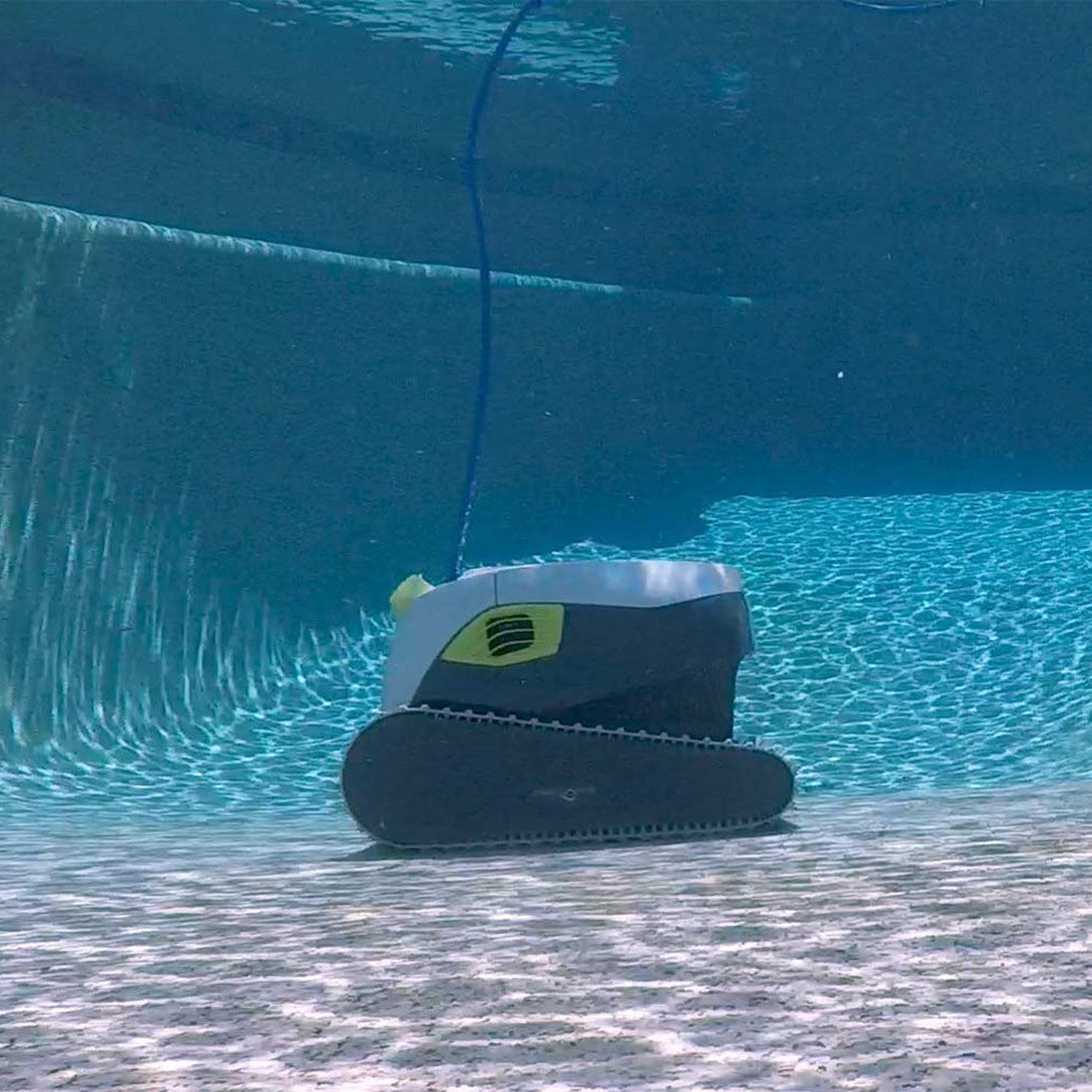 Dolphin T35