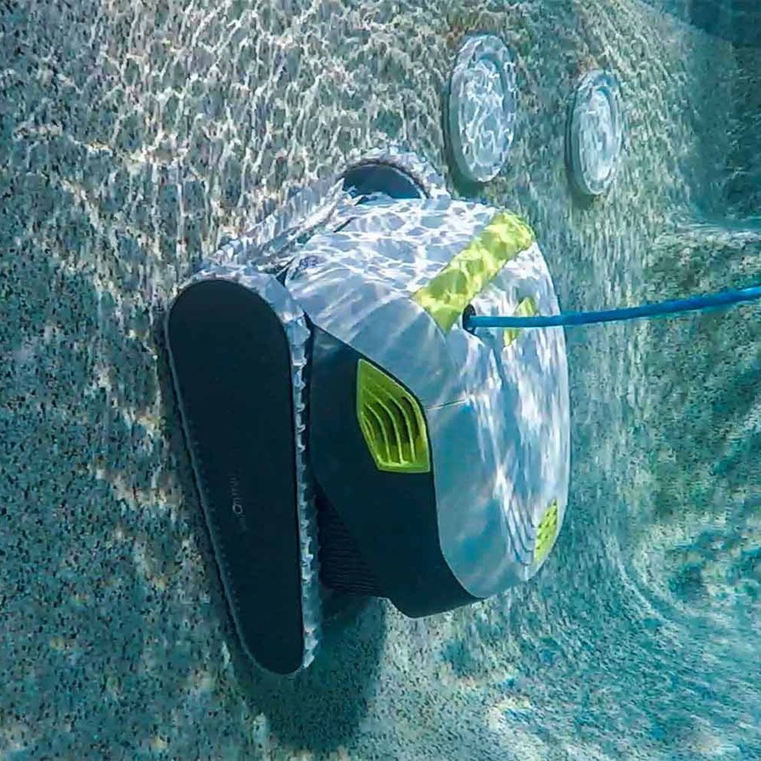 Dolphin T35