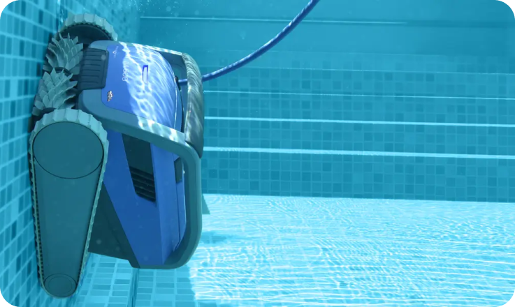 Comparatif meilleurs robots dolphin